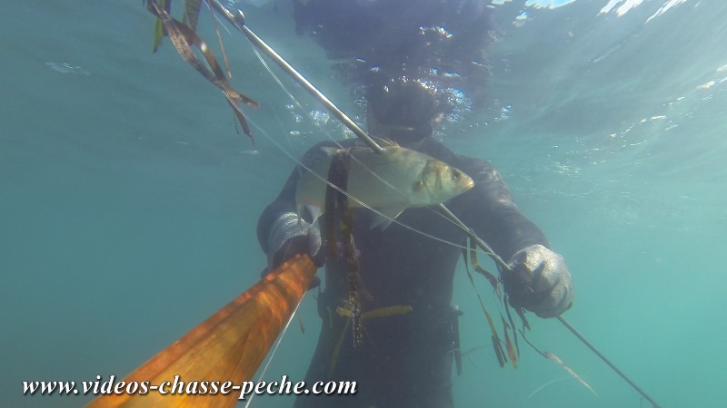 chasse sous marine  l'indienne